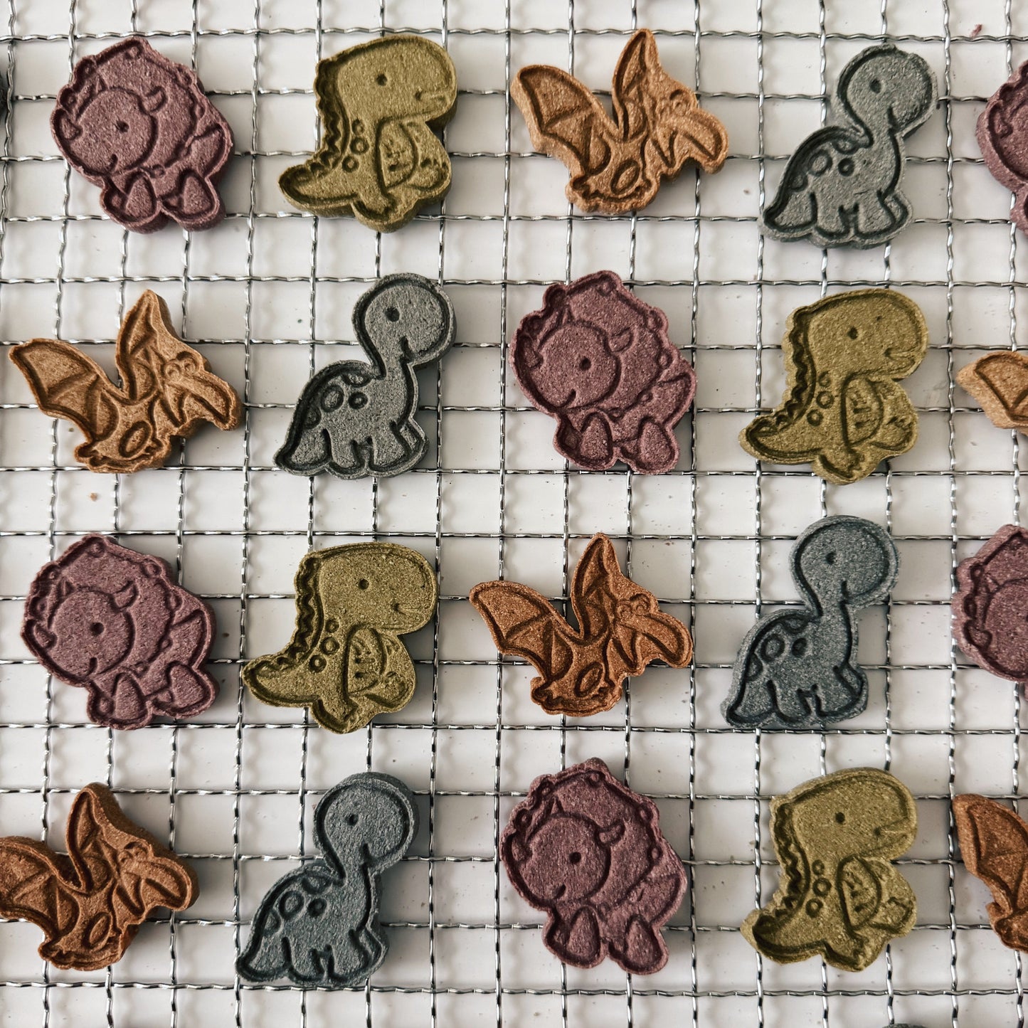 Tiny Tyrants