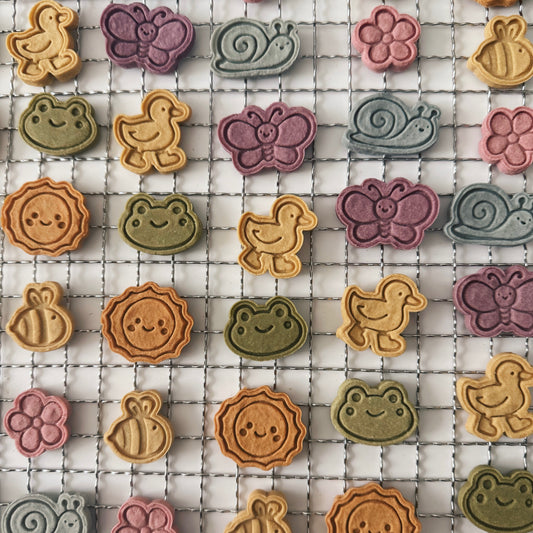 Critter Club